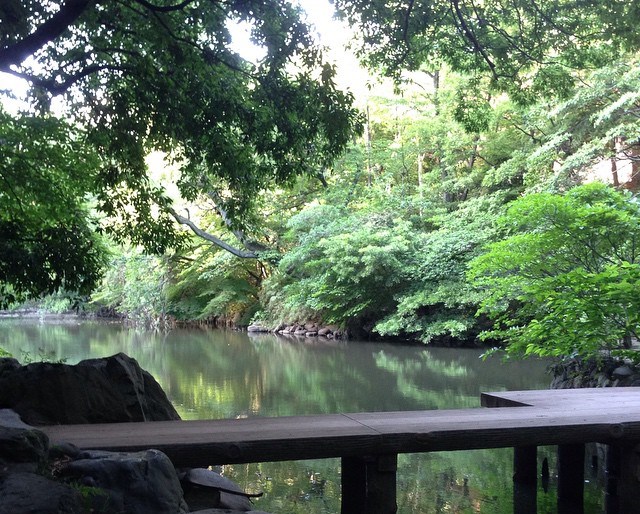 森林浴の効果と東京23区内で気軽に行ける「プチ森」4選ー三四郎池