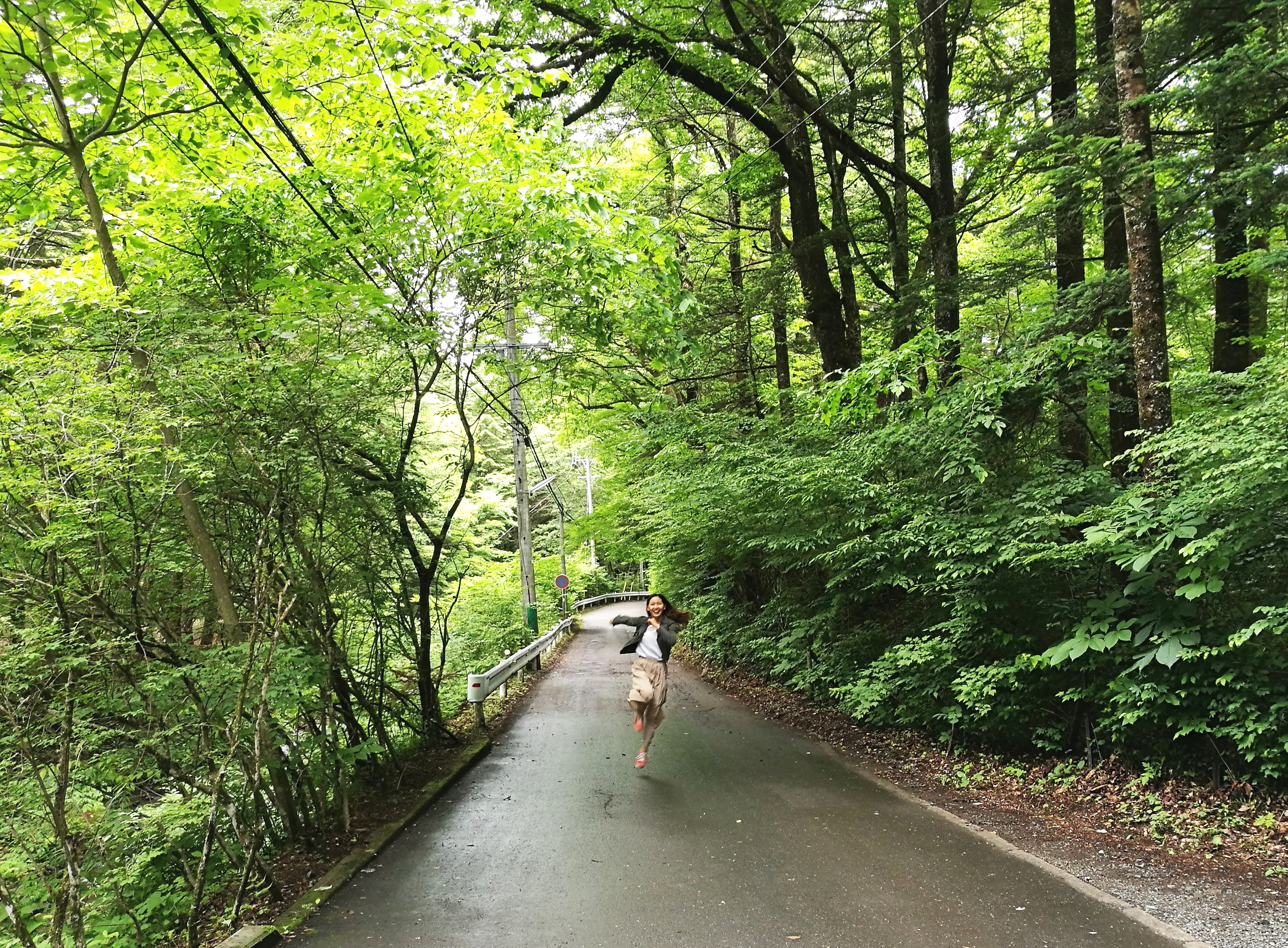 森林浴の効果と東京23区内で気軽に行ける「プチ森」4選