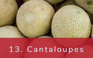 カンタロープメロン-Clean Fifteen（クリーンフィフティーン）-野菜って全て有機（オーガニック）がいいの？農薬の影響を受けやすい野菜と果物リスト