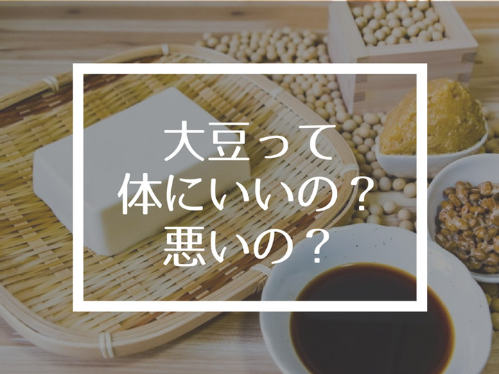 ソイフリーって何？日本であまり知られてない大豆とイソフラボンの害