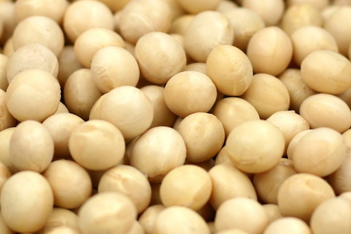 遺伝子組み換え大豆（GMO）の問題-ソイフリーって何？日本であまり知られてない大豆とイソフラボンの害