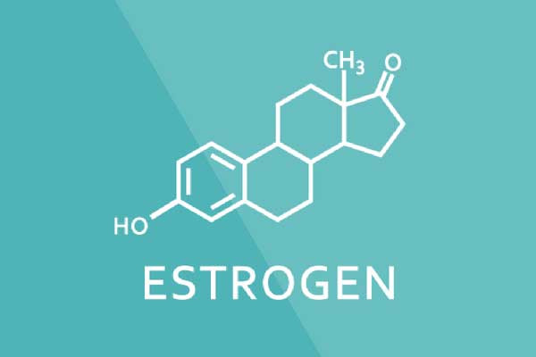 エストロゲン-環境ホルモン-エストロゲン・ドミナンス・シンドローム（エストロゲン優勢／estrogen dominance）って何？-yumiid.com
