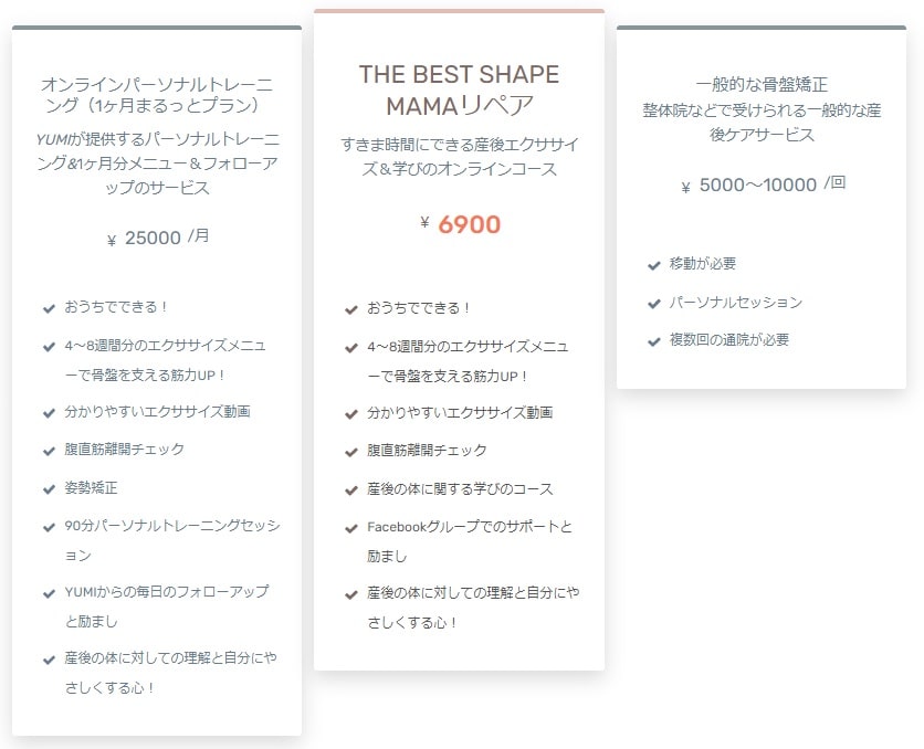 bsm-repair-comparison 産後ケアオプション比較