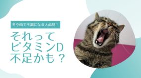 冬や雨で不調になるのはビタミンD不足かも？